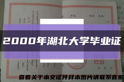 2000年湖北大学毕业证缩略图