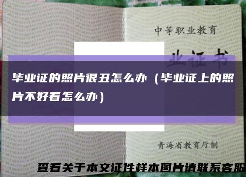 毕业证的照片很丑怎么办（毕业证上的照片不好看怎么办）缩略图