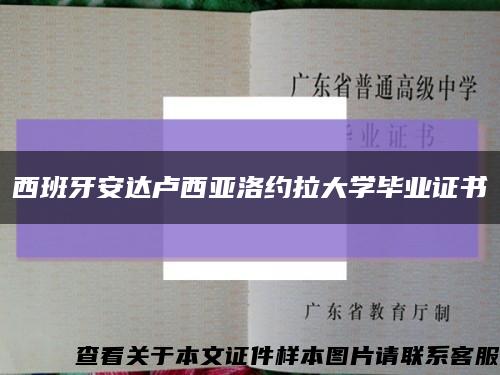 西班牙安达卢西亚洛约拉大学毕业证书缩略图