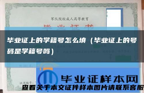 毕业证上的学籍号怎么填（毕业证上的号码是学籍号吗）缩略图