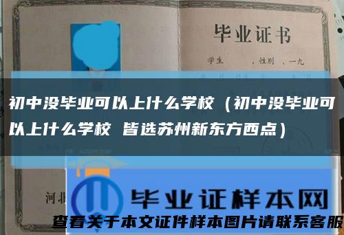 初中没毕业可以上什么学校（初中没毕业可以上什么学校 皆选苏州新东方西点）缩略图