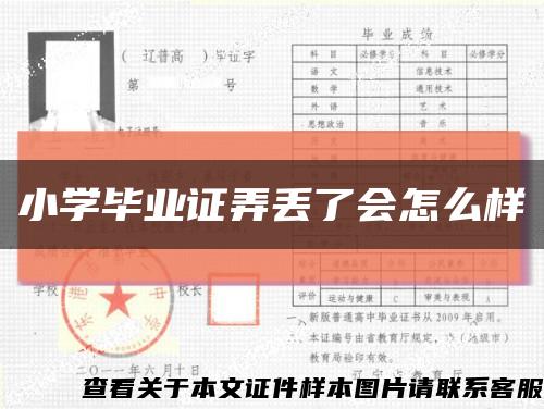 小学毕业证弄丢了会怎么样缩略图