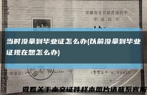 当时没拿到毕业证怎么办(以前没拿到毕业证现在想怎么办)缩略图