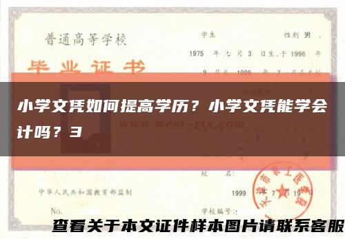 小学文凭如何提高学历？小学文凭能学会计吗？3缩略图