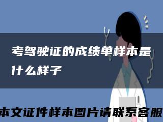 考驾驶证的成绩单样本是什么样子缩略图