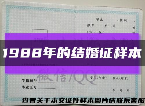 1988年的结婚证样本缩略图