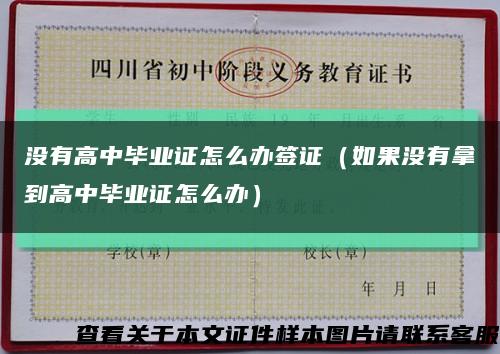 没有高中毕业证怎么办签证（如果没有拿到高中毕业证怎么办）缩略图