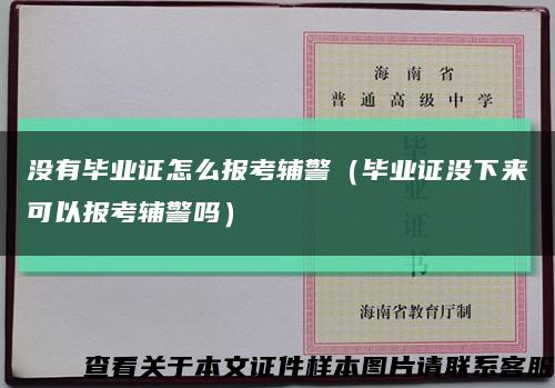 没有毕业证怎么报考辅警（毕业证没下来可以报考辅警吗）缩略图