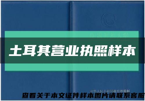 土耳其营业执照样本缩略图