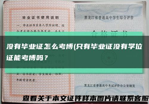 没有毕业证怎么考博(只有毕业证没有学位证能考博吗？缩略图