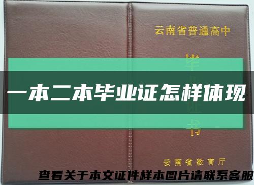 一本二本毕业证怎样体现缩略图