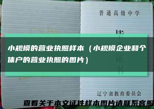 小规模的营业执照样本（小规模企业和个体户的营业执照的图片）缩略图