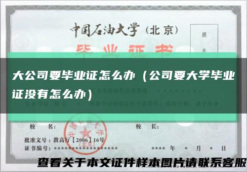 大公司要毕业证怎么办（公司要大学毕业证没有怎么办）缩略图