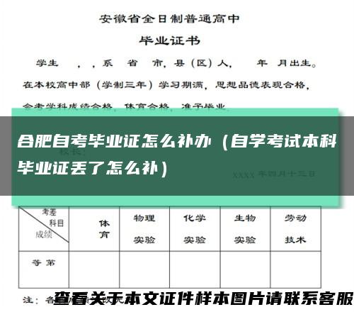 合肥自考毕业证怎么补办（自学考试本科毕业证丢了怎么补）缩略图