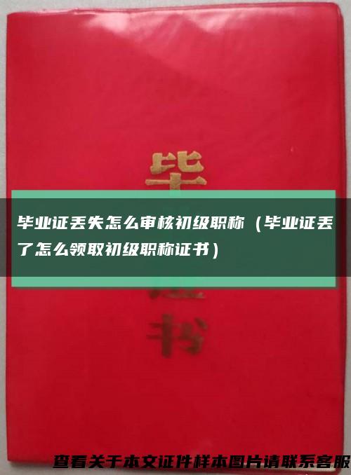 毕业证丢失怎么审核初级职称（毕业证丢了怎么领取初级职称证书）缩略图