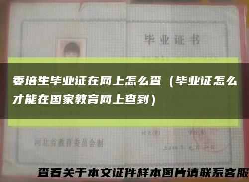 委培生毕业证在网上怎么查（毕业证怎么才能在国家教育网上查到）缩略图