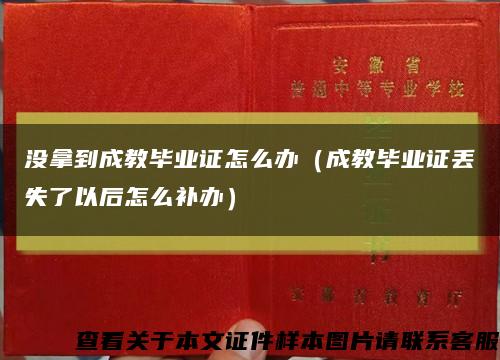 没拿到成教毕业证怎么办（成教毕业证丢失了以后怎么补办）缩略图