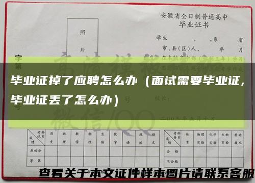 毕业证掉了应聘怎么办（面试需要毕业证,毕业证丢了怎么办）缩略图