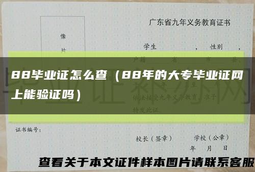 88毕业证怎么查（88年的大专毕业证网上能验证吗）缩略图