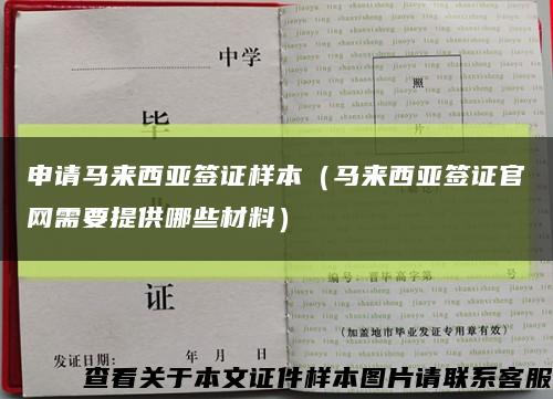 申请马来西亚签证样本（马来西亚签证官网需要提供哪些材料）缩略图