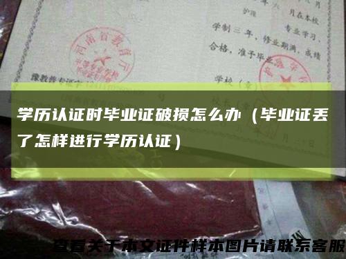 学历认证时毕业证破损怎么办（毕业证丢了怎样进行学历认证）缩略图