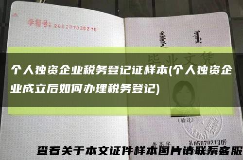 个人独资企业税务登记证样本(个人独资企业成立后如何办理税务登记)缩略图