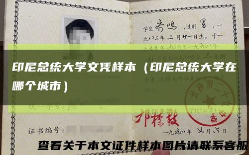 印尼总统大学文凭样本（印尼总统大学在哪个城市）缩略图