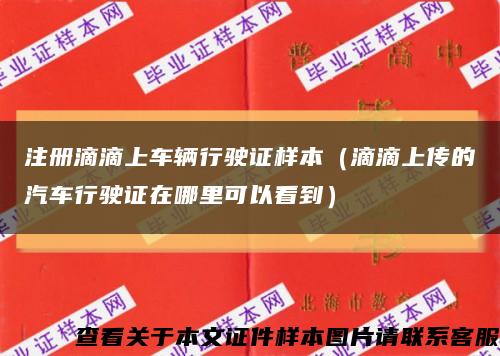 注册滴滴上车辆行驶证样本（滴滴上传的汽车行驶证在哪里可以看到）缩略图