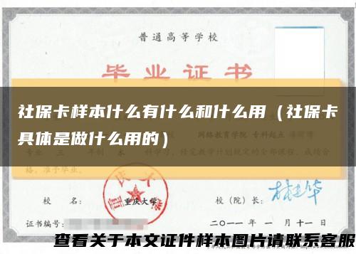 社保卡样本什么有什么和什么用（社保卡具体是做什么用的）缩略图