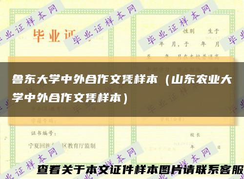 鲁东大学中外合作文凭样本（山东农业大学中外合作文凭样本）缩略图