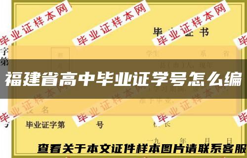 福建省高中毕业证学号怎么编缩略图