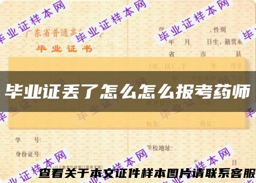 毕业证丢了怎么怎么报考药师缩略图