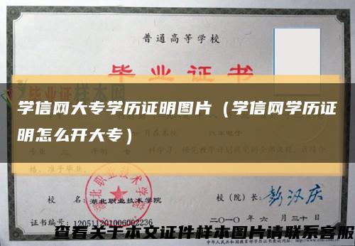 学信网大专学历证明图片（学信网学历证明怎么开大专）缩略图