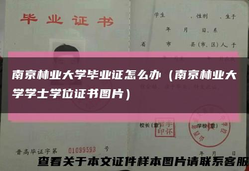 南京林业大学毕业证怎么办（南京林业大学学士学位证书图片）缩略图