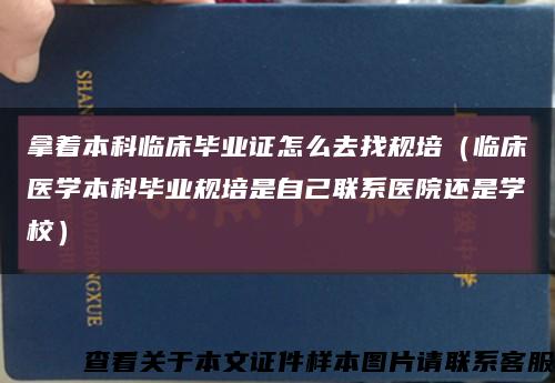 拿着本科临床毕业证怎么去找规培（临床医学本科毕业规培是自己联系医院还是学校）缩略图