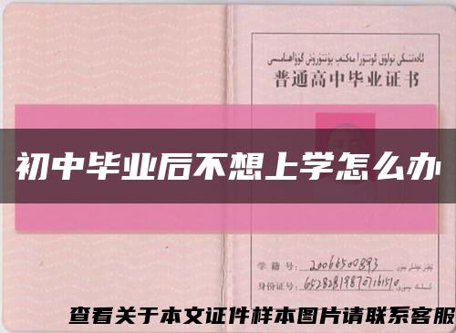 初中毕业后不想上学怎么办缩略图