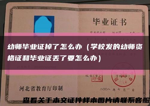 幼师毕业证掉了怎么办（学校发的幼师资格证和毕业证丢了要怎么办）缩略图