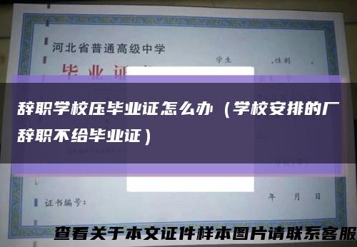 辞职学校压毕业证怎么办（学校安排的厂辞职不给毕业证）缩略图