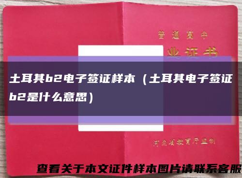 土耳其b2电子签证样本（土耳其电子签证b2是什么意思）缩略图