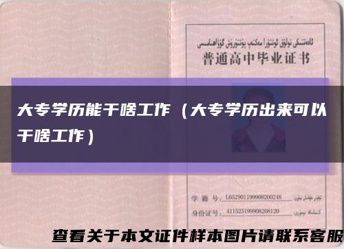 大专学历能干啥工作（大专学历出来可以干啥工作）缩略图