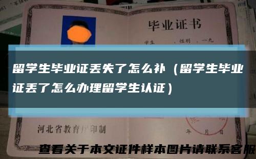 留学生毕业证丢失了怎么补（留学生毕业证丢了怎么办理留学生认证）缩略图