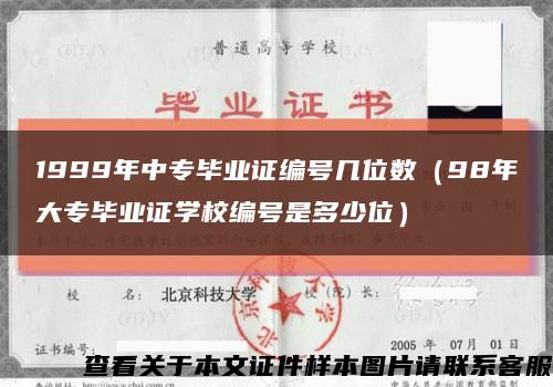 1999年中专毕业证编号几位数（98年大专毕业证学校编号是多少位）缩略图