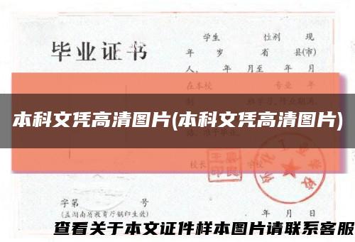 本科文凭高清图片(本科文凭高清图片)缩略图