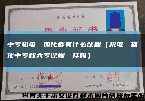 中专机电一体化都有什么课程（机电一体化中专和大专课程一样吗）缩略图