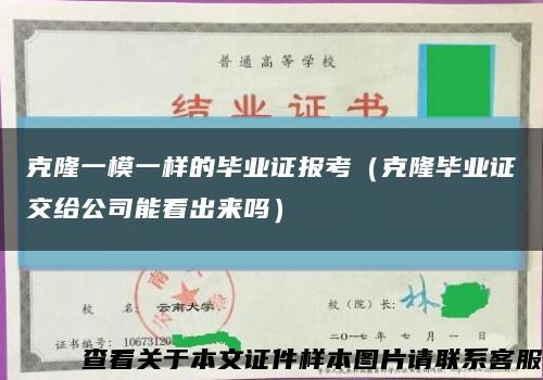 克隆一模一样的毕业证报考（克隆毕业证交给公司能看出来吗）缩略图