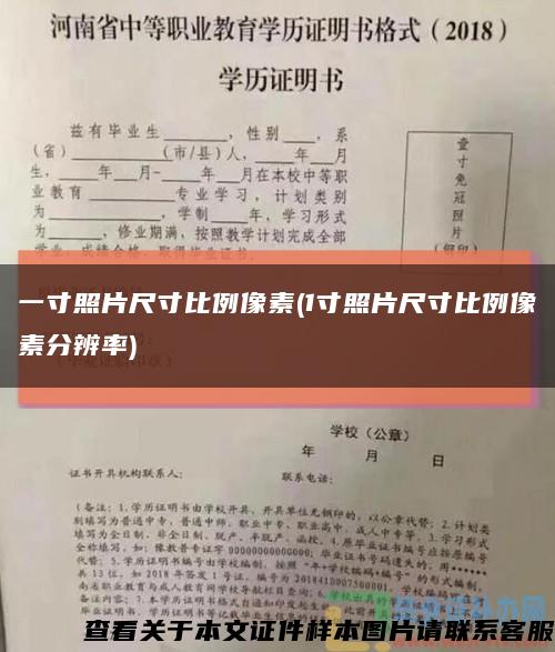 一寸照片尺寸比例像素(1寸照片尺寸比例像素分辨率)缩略图