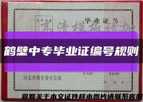 鹤壁中专毕业证编号规则缩略图