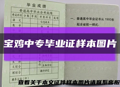 宝鸡中专毕业证样本图片缩略图