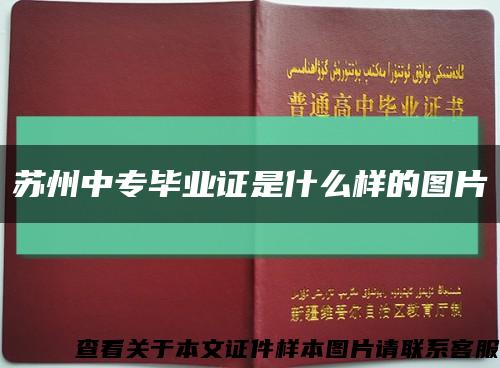 苏州中专毕业证是什么样的图片缩略图