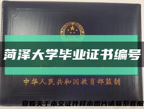 菏泽大学毕业证书编号缩略图